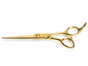 6507_a6a97bfd6d9bc347104fabfa9acf4532